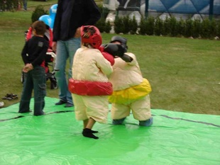 Sumo ring pro dti