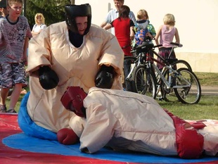 Sumo ring