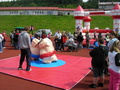 Sumo ring pro dti