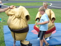 Sumo ring pro dti